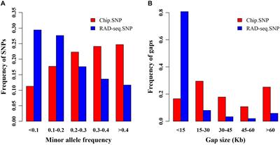 Genome-Wide Association Study and Fine Mapping Reveals Candidate Genes for Birth Weight of Yorkshire and Landrace Pigs